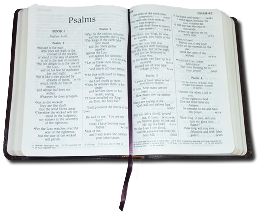 A Holy Bible open at the Book of Psalms.