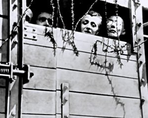 Jewish women peer through the barbed wire from a railway cattle car transporting them across Europe to a Nazi death camp during the Second World War.