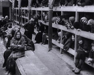 When the Red Army liberated Auschwitz they found the cramped sleeping quarters of the Jewish women filled with lice, disease and scores of dead or dying prisoners.