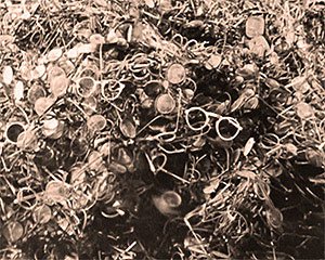 The vast numbers of Jews murdered by the Nazis were evidenced by the huge quantites of possessions left piled together in rooms in camps like Auschwitz after it was abandoned, including tens of thousands of pairs of spectacles.
