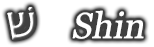 Shin